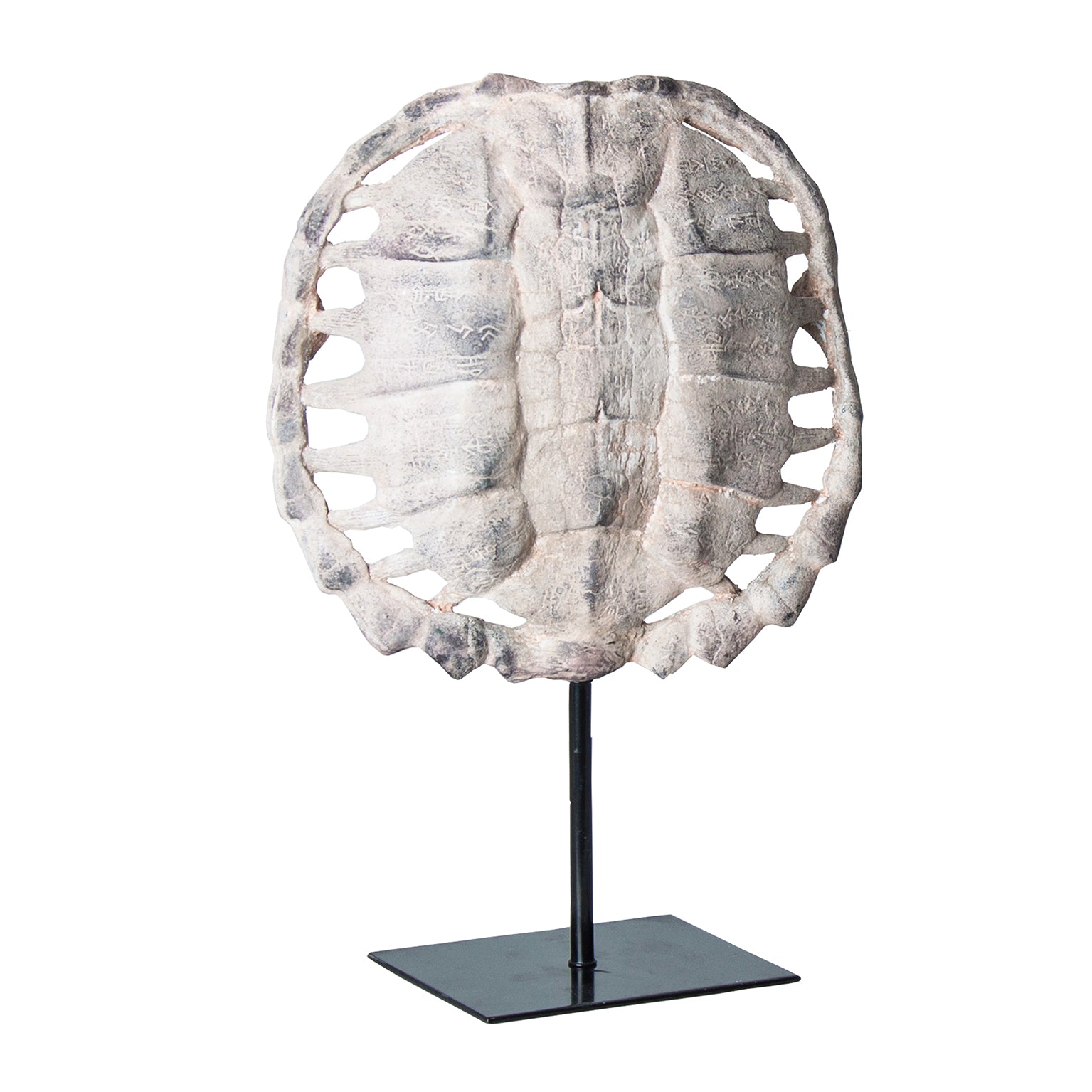 CAPARAZÓN TORTUGA SCULPTURE